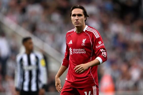 无锡陈女士,遭遇假冒靳,东骗局,AG真人链接,AG真人官网地址,AG真人官方平台,AG真人入口站点