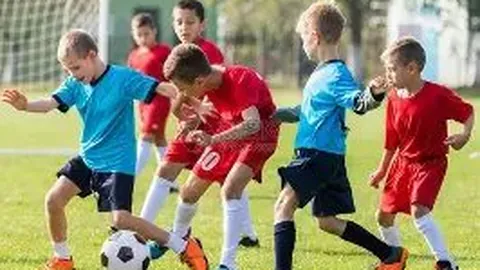 无锡陈女士遭遇假冒靳东骗局，损失高达88800元